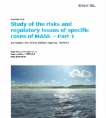 SAFEMASS Study of the risks and regulatory issues of specifi ...