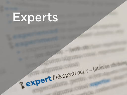 experts 512x384