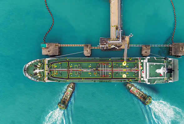 EMSA Facts & Figures 2020