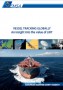 Vessel Tracking Globally. An insight into the value of LRIT