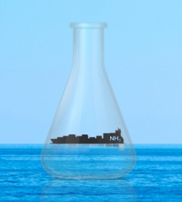 Potential of Ammonia as Fuel in Shipping 