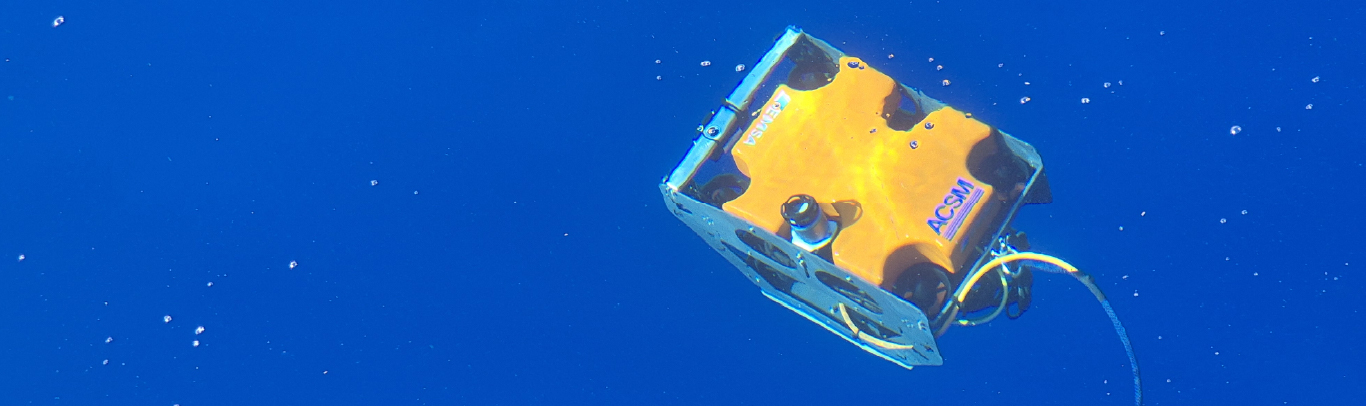 ROV news banner 100