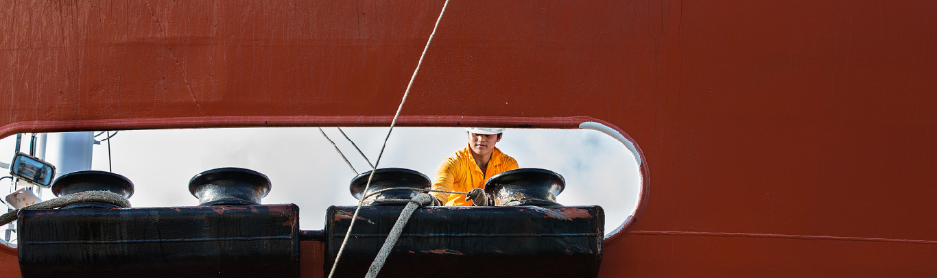 HEADER SAFETY  SECURITY AND SURVEILLANCE