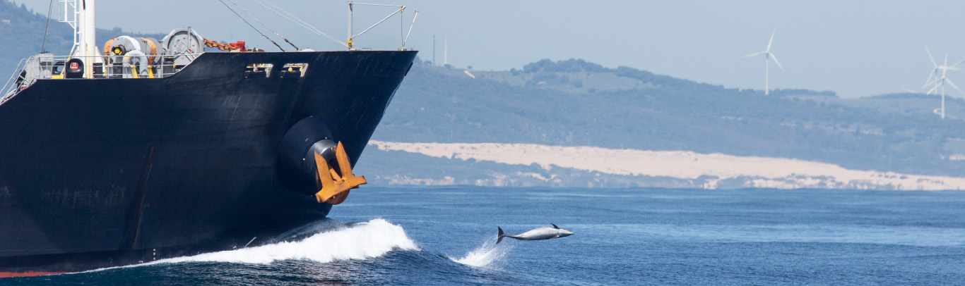 HEADER SUSTAINABILITY 100