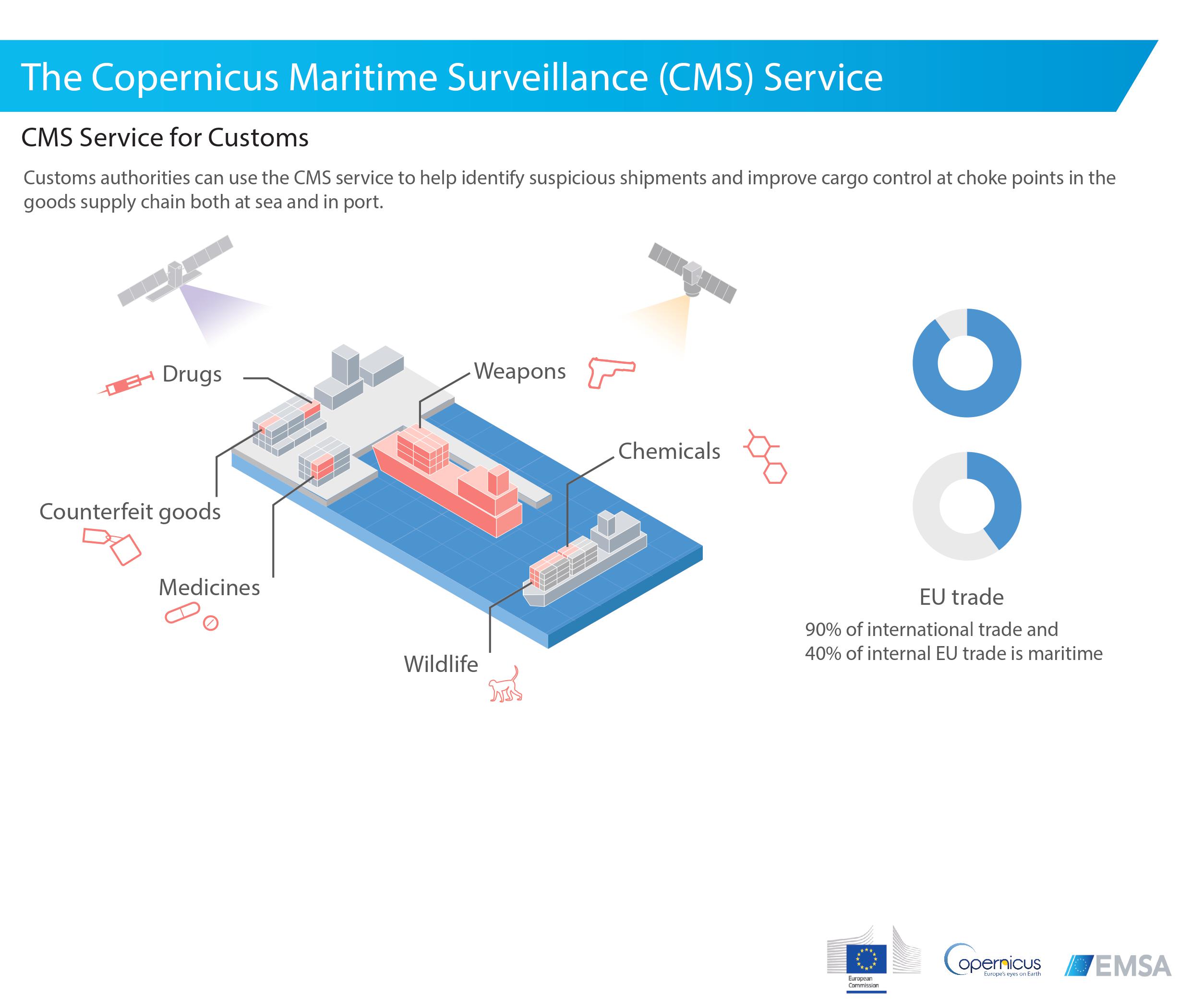 CMS Service Customs Image 1