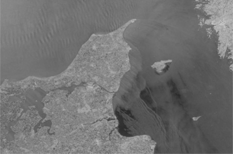 CSN image 2405010001